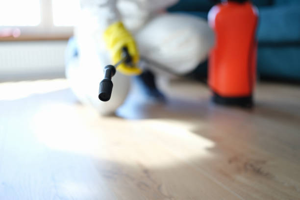 Mold Remediation for Vacation Homes in Biglerville, PA